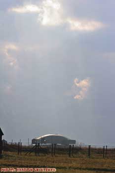 IMG_ (10801)